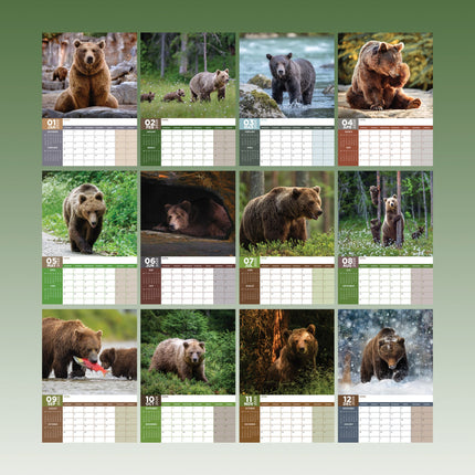 CalendarsRUs Beren A3 Kalender 2026