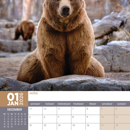 CalendarsRUs Beren A3 Kalender 2026