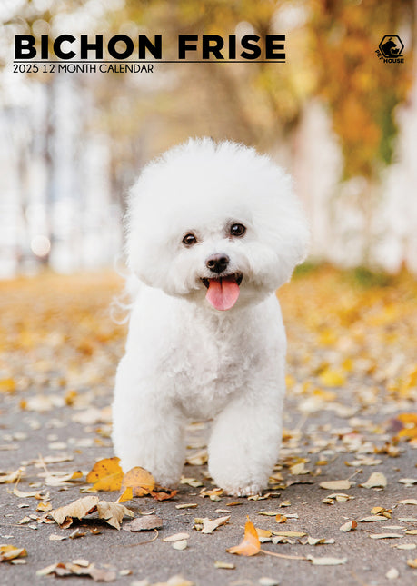 CalendarsRUs Bichon Frise A3 Kalender 2025