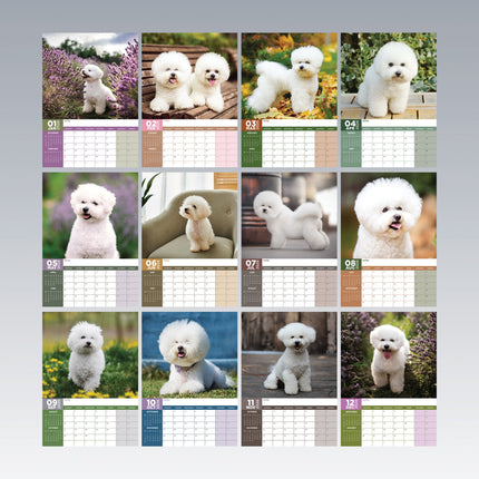 CalendarsRUs Bichon Frise A3 Kalender 2026