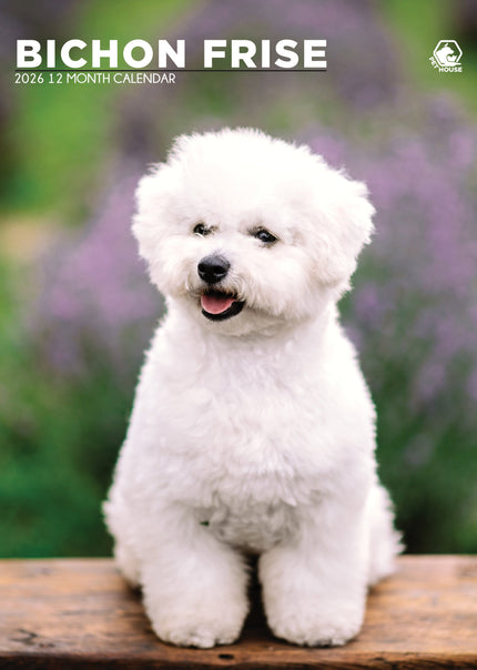 CalendarsRUs Bichon Frise A3 Kalender 2026