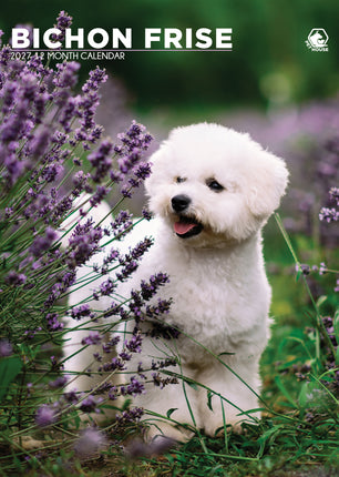 CalendarsRUs Bichon Frise A3 Kalender 2027