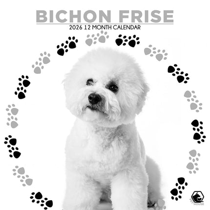 CalendarsRUs Bichon Frise Kalender 2026