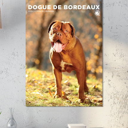 CalendarsRUs Bordeaux Dog A3 Kalender 2026