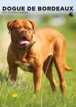 CalendarsRUs Bordeaux Dog A3 Kalender 2027