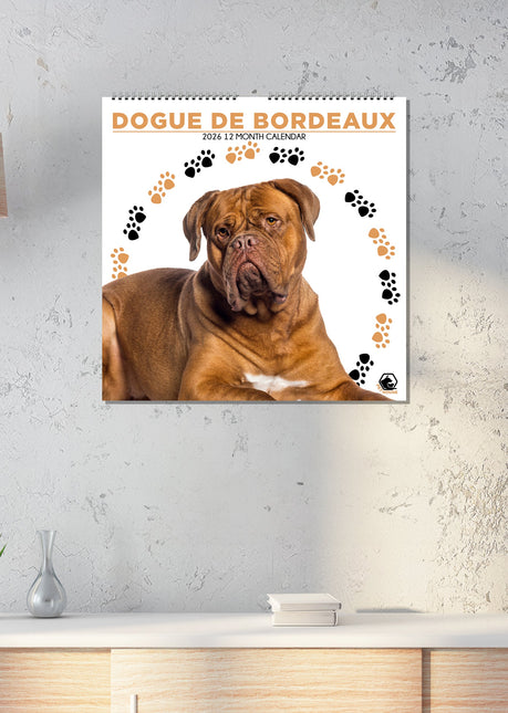 CalendarsRUs Bordeaux Dog Kalender 2026