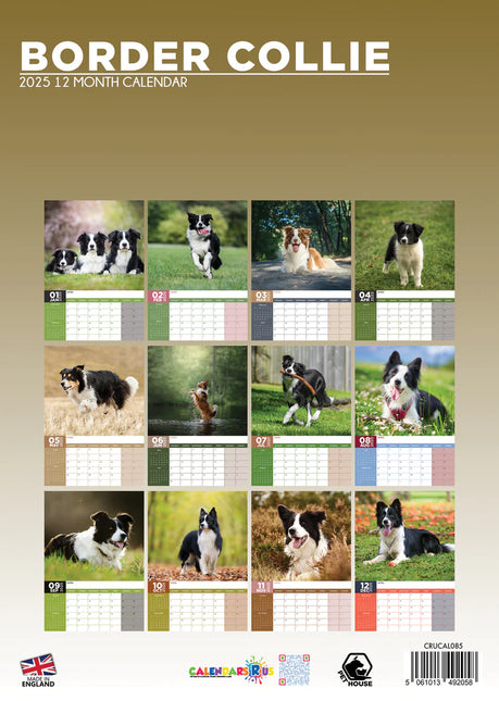 CalendarsRUs Border Collie A3 Kalender 2025