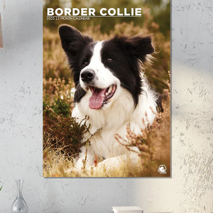 CalendarsRUs Border Collie A3 Kalender 2025