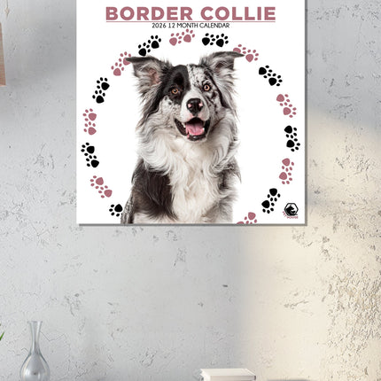 CalendarsRUs Border Collie Kalender 2026