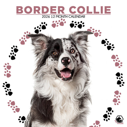 CalendarsRUs Border Collie Kalender 2026