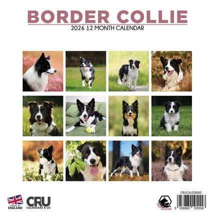 CalendarsRUs Border Collie Kalender 2026