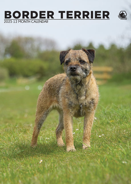 CalendarsRUs Border Terrier A3 Kalender 2025