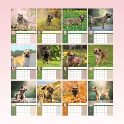 CalendarsRUs Border Terrier A3 Kalender 2026