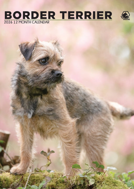 CalendarsRUs Border Terrier A3 Kalender 2026