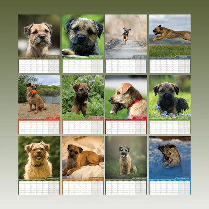 CalendarsRUs Border Terrier A3 Kalender 2027