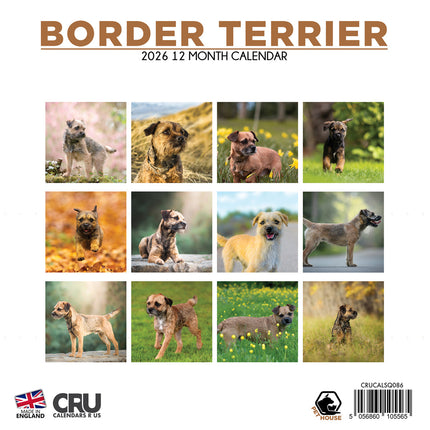 CalendarsRUs Border Terrier Kalender 2026
