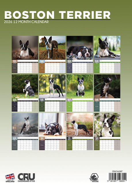 CalendarsRUs Boston Terrier A3 Kalender 2026