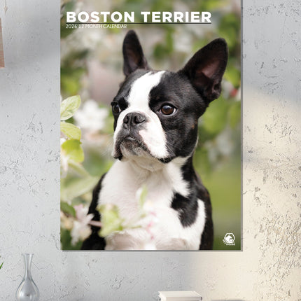 CalendarsRUs Boston Terrier A3 Kalender 2026