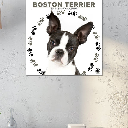 CalendarsRUs Boston Terrier Kalender 2026