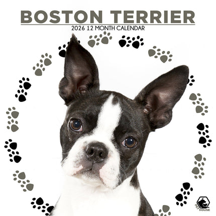 CalendarsRUs Boston Terrier Kalender 2026
