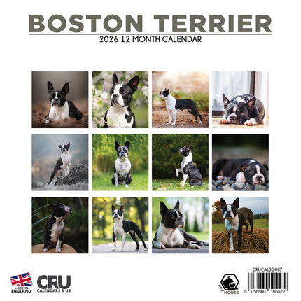 CalendarsRUs Boston Terrier Kalender 2026