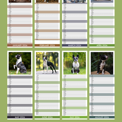 CalendarsRUs Boston Terrier Slimline Kalender 2026