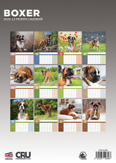 CalendarsRUs Boxer A3 Kalender 2026
