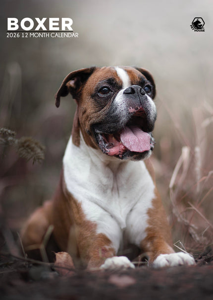 CalendarsRUs Boxer A3 Kalender 2027