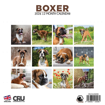 CalendarsRUs Boxer Kalender 2026
