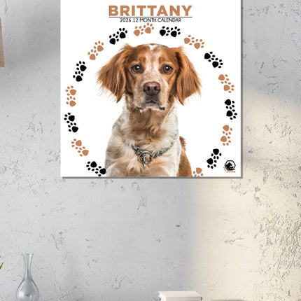 CalendarsRUs Brittany Spaniel Kalender 2026