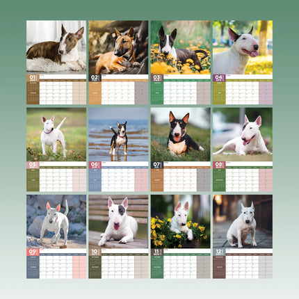CalendarsRUs Bull Terrier A3 Kalender 2026