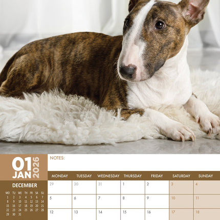 CalendarsRUs Bull Terrier A3 Kalender 2026