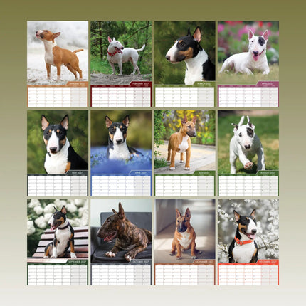 CalendarsRUs Bull Terrier A3 Kalender 2027