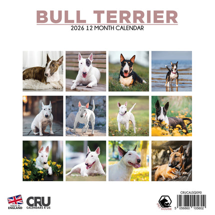 CalendarsRUs Bull Terrier Kalender 2026