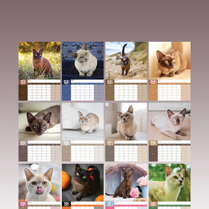 CalendarsRUs Burmees A3 kalender 2025