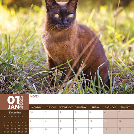 CalendarsRUs Burmees A3 kalender 2025