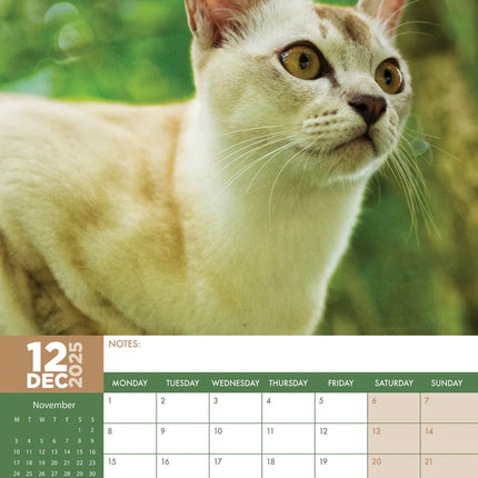 CalendarsRUs Burmees A3 kalender 2025