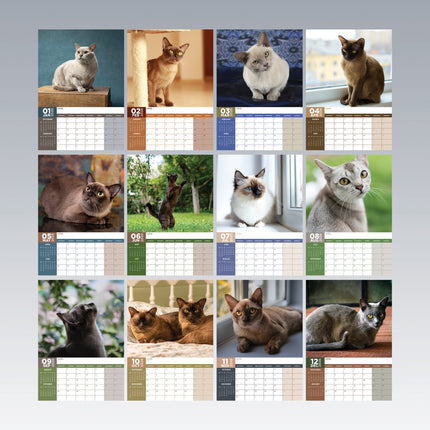 CalendarsRUs Burmees A3 kalender 2026