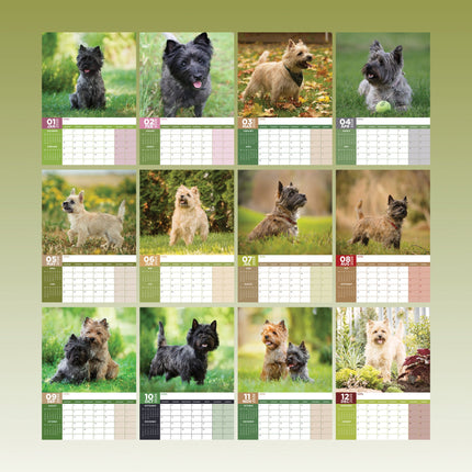 CalendarsRUs Cairn Terrier A3 Kalender 2026