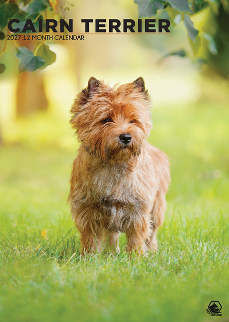 CalendarsRUs Cairn Terrier A3 Kalender 2027