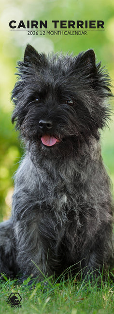 CalendarsRUs Cairn Terrier Slimline Kalender 2026