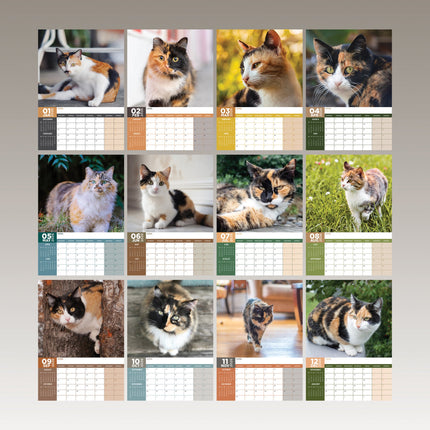 CalendarsRUs Calico Katten A3 Kalender 2026