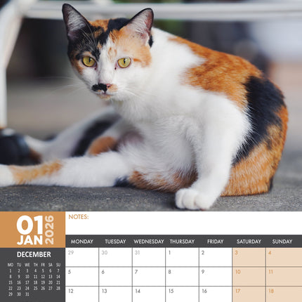 CalendarsRUs Calico Katten A3 Kalender 2026