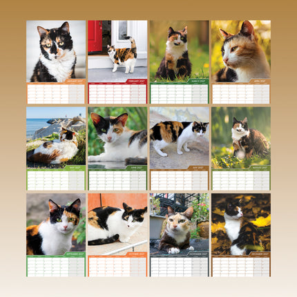 CalendarsRUs Calico Katten A3 Kalender 2027