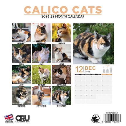 CalendarsRUs Calico Katten Kalender 2026