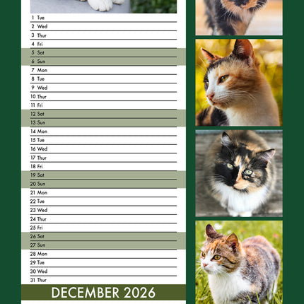 CalendarsRUs Calico Katten Slimline Kalender 2026