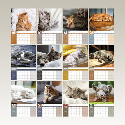 CalendarsRUs Cat Naps A3 Kalendar 2026