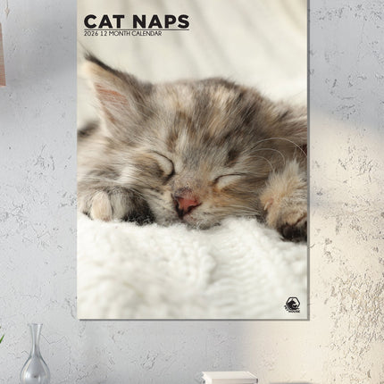 CalendarsRUs Cat Naps A3 Kalendar 2026