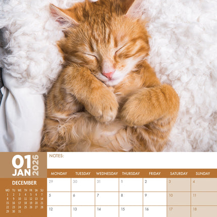 CalendarsRUs Cat Naps A3 Kalendar 2026