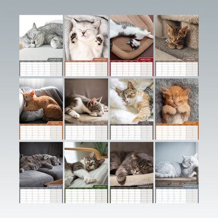 CalendarsRUs Cat Naps A3 Kalendar 2027